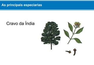 As principais especiarias 
Cravo da Índia 
 