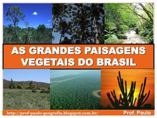 AS GRANDES PAISAGENS
VEGETAIS DO BRASIL
Prof. Paulohttp://prof-paulo-geografia.blogspot.com.br/
 
