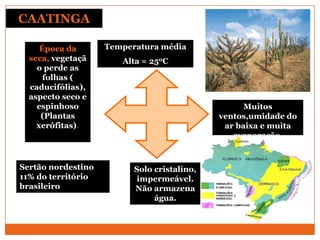 Temperatura média
Alta = 250C
Muitos
ventos,umidade do
ar baixa e muita
evaporação.
Solo cristalino,
impermeável.
Não armazena
água.
Época da
seca, vegetaçã
o perde as
folhas (
caducifólias),
aspecto seco e
espinhoso
(Plantas
xerófitas).
CAATINGA
Sertão nordestino
11% do território
brasileiro
 