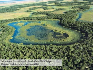 O Pantanal é considerado Patrimônio Mundial pela
Unesco. Na foto, Mato Grosso do Sul.
ARAQUÉMALCÂNTARA/SAMBAPHOTO
 
