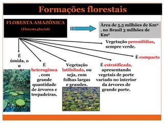 Formações florestais
FLORESTA AMAZÔNICA
(Floresta pluvial)
É
úmida, o
u
seja, higr
ófila.
É
heterogênea
, com
grande
quantidade
de árvores e
trepadeiras.
Vegetação
latifoliada, ou
seja, com
folhas largas
e grandes.
É estratificada,
apresentando
vegetais de porte
variado no interior
da árvores de
grande porte.
É compacta
Vegetação perenifólias,
sempre verde.
Área de 5,5 milhões de Km2.
. no Brasil 3 milhões de
Km2
 