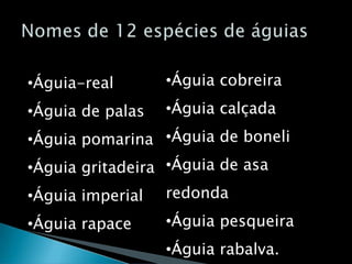 Nomes de 12 espécies de águiasÁguia cobreira 