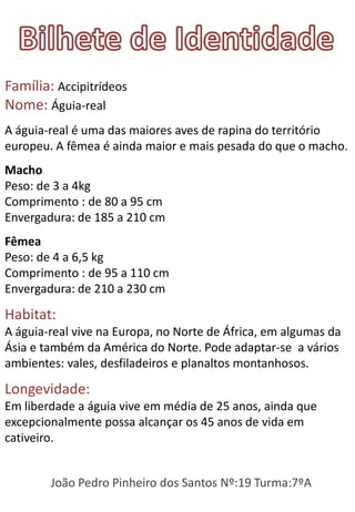 Família: Accipitrídeos
Nome: Águia-real
A águia-real é uma das maiores aves de rapina do território
europeu. A fêmea é ainda maior e mais pesada do que o macho.
Macho
Peso: de 3 a 4kg
Comprimento : de 80 a 95 cm
Envergadura: de 185 a 210 cm
Fêmea
Peso: de 4 a 6,5 kg
Comprimento : de 95 a 110 cm
Envergadura: de 210 a 230 cm

Habitat:
A águia-real vive na Europa, no Norte de África, em algumas da
Ásia e também da América do Norte. Pode adaptar-se a vários
ambientes: vales, desfiladeiros e planaltos montanhosos.

Longevidade:
Em liberdade a águia vive em média de 25 anos, ainda que
excepcionalmente possa alcançar os 45 anos de vida em
cativeiro.


        João Pedro Pinheiro dos Santos Nº:19 Turma:7ºA
 