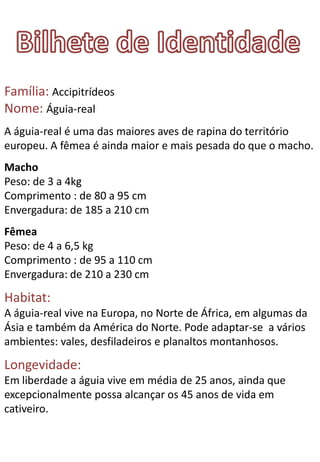 Família: Accipitrídeos
Nome: Águia-real
A águia-real é uma das maiores aves de rapina do território
europeu. A fêmea é ainda maior e mais pesada do que o macho.
Macho
Peso: de 3 a 4kg
Comprimento : de 80 a 95 cm
Envergadura: de 185 a 210 cm
Fêmea
Peso: de 4 a 6,5 kg
Comprimento : de 95 a 110 cm
Envergadura: de 210 a 230 cm

Habitat:
A águia-real vive na Europa, no Norte de África, em algumas da
Ásia e também da América do Norte. Pode adaptar-se a vários
ambientes: vales, desfiladeiros e planaltos montanhosos.

Longevidade:
Em liberdade a águia vive em média de 25 anos, ainda que
excepcionalmente possa alcançar os 45 anos de vida em
cativeiro.
 