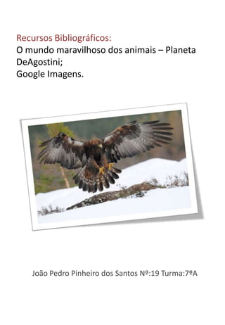 Recursos Bibliográficos:
O mundo maravilhoso dos animais – Planeta
DeAgostini;
Google Imagens.




   João Pedro Pinheiro dos Santos Nº:19 Turma:7ºA
 
