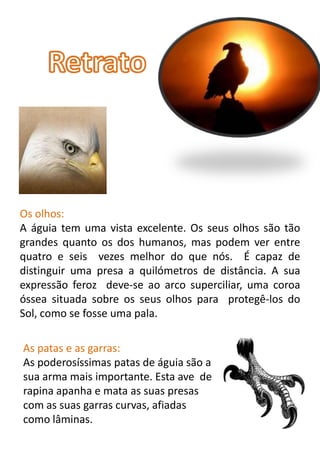 Os olhos:
A águia tem uma vista excelente. Os seus olhos são tão
grandes quanto os dos humanos, mas podem ver entre
quatro e seis vezes melhor do que nós. É capaz de
distinguir uma presa a quilómetros de distância. A sua
expressão feroz deve-se ao arco superciliar, uma coroa
óssea situada sobre os seus olhos para protegê-los do
Sol, como se fosse uma pala.

As patas e as garras:
As poderosíssimas patas de águia são a
sua arma mais importante. Esta ave de
rapina apanha e mata as suas presas
com as suas garras curvas, afiadas
como lâminas.
 