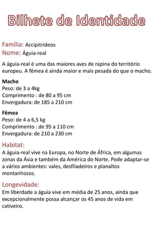 Família: Accipitrídeos
Nome: Águia-real
A águia-real é uma das maiores aves de rapina do território
europeu. A fêmea é ainda maior e mais pesada do que o macho.
Macho
Peso: de 3 a 4kg
Comprimento : de 80 a 95 cm
Envergadura: de 185 a 210 cm
Fêmea
Peso: de 4 a 6,5 kg
Comprimento : de 95 a 110 cm
Envergadura: de 210 a 230 cm

Habitat:
A águia-real vive na Europa, no Norte de África, em algumas
zonas da Ásia e também da América do Norte. Pode adaptar-se
a vários ambientes: vales, desfiladeiros e planaltos
montanhosos.

Longevidade:
Em liberdade a águia vive em média de 25 anos, ainda que
excepcionalmente possa alcançar os 45 anos de vida em
cativeiro.
 