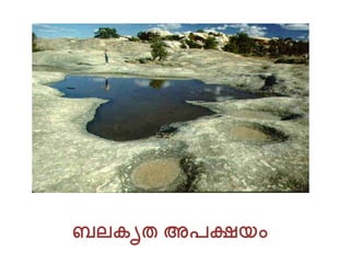 ബലകൃത അപക്ഷയം
 