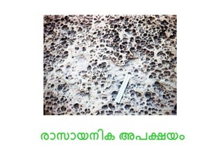 രാസായനിക അപക്ഷയം
 