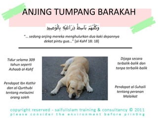 DITIDURKAN“LaluKami tidurkanmerekacengannyenyaknyadalamguaitu, bertahun-tahun, yang banyakbilangannya. KemudianKami bangkitkanmereka (daritidurnya), untuk Kami mengujisiapakahdariduagolongan di antaramerekayang lebihtepatkiraannya, tentanglamanyamerekahidup (dalamguaitu)” [Al-Kahf 18: 11-12]