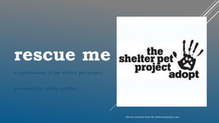 rescue me
a continuation of the shelter pet project
presented by ashley shaffier
Picture retrieved from the shelterpetproject.com
 