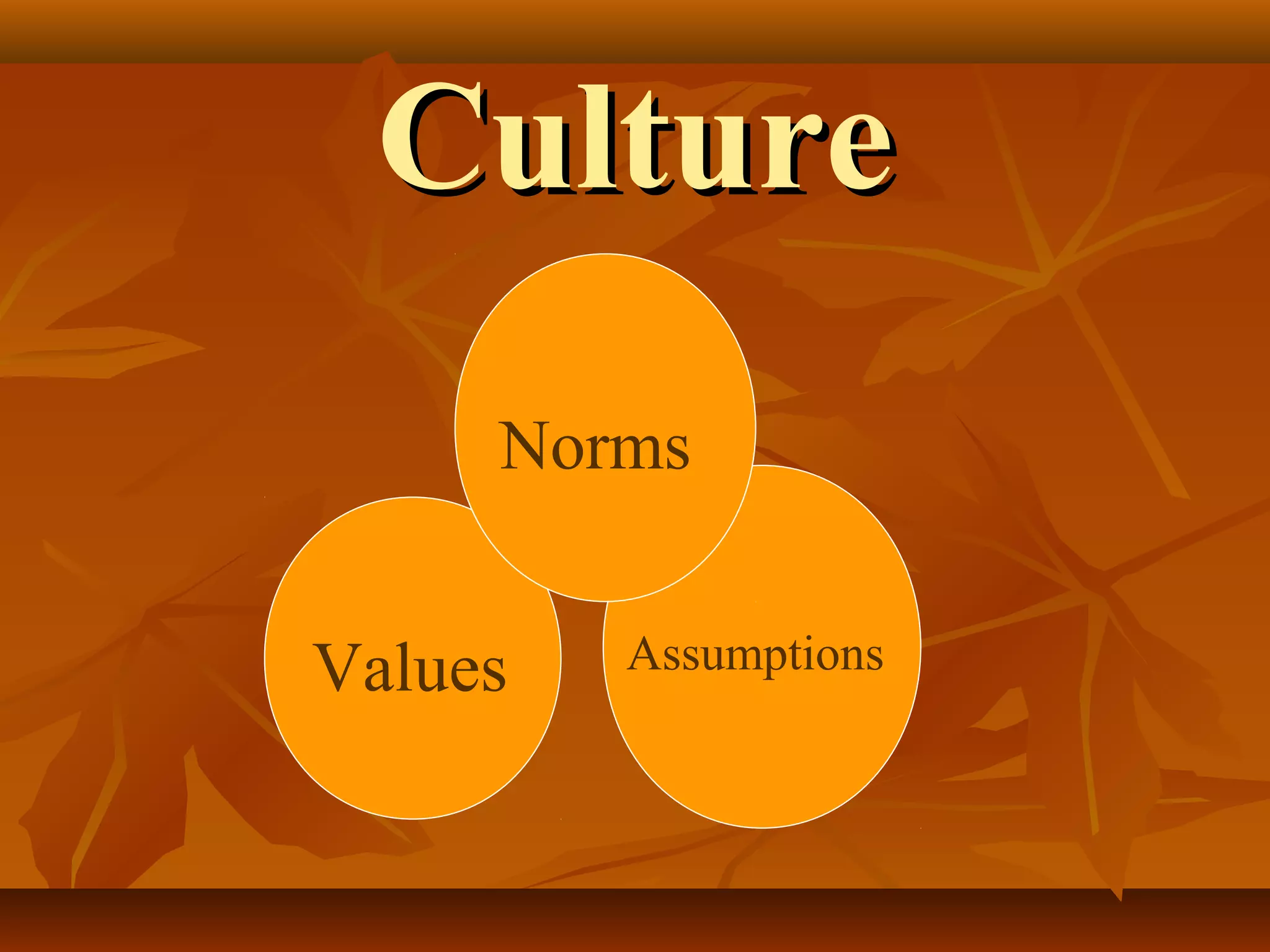 Culture
Norms
Values

Assumptions

 