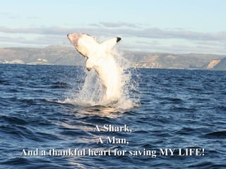 A Shark,A Shark,
A Man,A Man,
And a thankful heart for saving MY LIFE!And a thankful heart for saving MY LIFE!
 