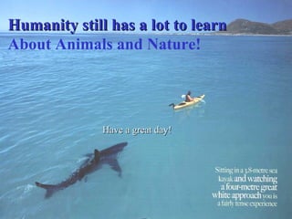 Humanity still has a lot to learnHumanity still has a lot to learn
About Animals and Nature!
Have a great day!Have a great day!
 