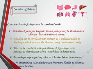 Location of Ashaya
 Shaleshmashya may be lungs & Jivaraktashaya may be Heart as these
three are located in thoracic cavity.
Location vise the Ashayas can be correlated with-
 Amashya can be correlated with stomach as it is located below to
diaphragm which separate the thoracic cavity to abdominal cavity.
 Tila can be correlated with gall bladder & Agnashaya with
pancreas as their location above to umbilicus in human body.
 Pavnashaya may be parts of colon as it located below to umbilicus .
 Mutrashaya & Malashaya can be urinary bladder & rectum as
their location.
 