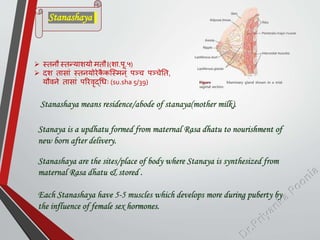  स्तनौ स्तन्याशयो मतौ।(शा.िू.५)
 दश तासाां स्तनयोरेककस्स्मन् िञ्च िञ्चेतत,
यौवने तासाां िररवृद्धिः (su.sha 5/39)
Stanashaya means residence/abode of stanaya(mother milk).
Stanashaya are the sites/place of body where Stanaya is synthesized from
maternal Rasa dhatu & stored .
Each Stanashaya have 5-5 muscles which develops more during puberty by
the influence of female sex hormones.
Stanaya is a updhatu formed from maternal Rasa dhatu to nourishment of
new born after delivery.
Stanashaya
 