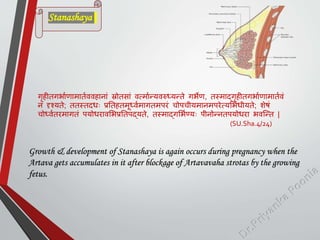 गृहीतगभामणामातमववहानाां स्रोतसाां वत्मामन्यवरुध्यन्ते गभेण, तस्माद्गृहीतगभामणामातमवां
न दृश्यते; ततस्तदिः प्रततहतमूध्वममागतमिरां चोिचीयमानमिरेत्यशभिीयते; शेषां
चोध्वमतरमागतां ियोिरावशभप्रततिद्यते, तस्माद्गशभमण्यः िीनोन्नतियोिरा भवस्न्त |
(SU.Sha.4/24)
Growth & development of Stanashaya is again occurs during pregnancy when the
Artava gets accumulates in it after blockage of Artavavaha strotas by the growing
fetus.
Stanashaya
 