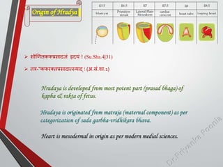  शोणणतकफप्रसादजां हृदयां ! (Su.Sha.4|31)
 तत्र-"कफरक्तप्रसादात्स्याद् ! (अ.सां.शा.1)
Origin of Hradya
Hradaya is developed from most potent part (prasad bhaga) of
kapha & rakta of fetus.
Hradaya is originated from matraja (maternal component) as per
categorization of sada garbha-vridhikara bhava.
Heart is mesodermal in origin as per modern medial sciences.
 