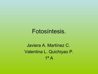 Fotosíntesis.

 Javiera A. Martínez C.
Valentina L. Quichiyao P.
          1ª A
 