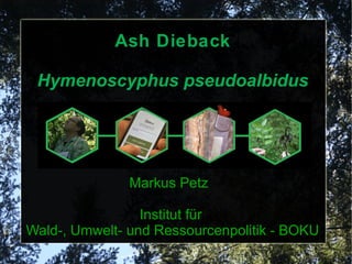 Ash Dieback
Hymenoscyphus pseudoalbidus
Markus Petz
Institut für
Wald-, Umwelt- und Ressourcenpolitik - BOKU
 