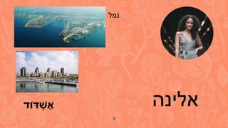 3
‫אלינה‬
‫ּדֹוד‬ ְׁ
‫ש‬ ַ‫א‬
‫נמל‬
 