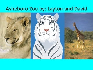 Asheboro Zoo by: Layton and David 