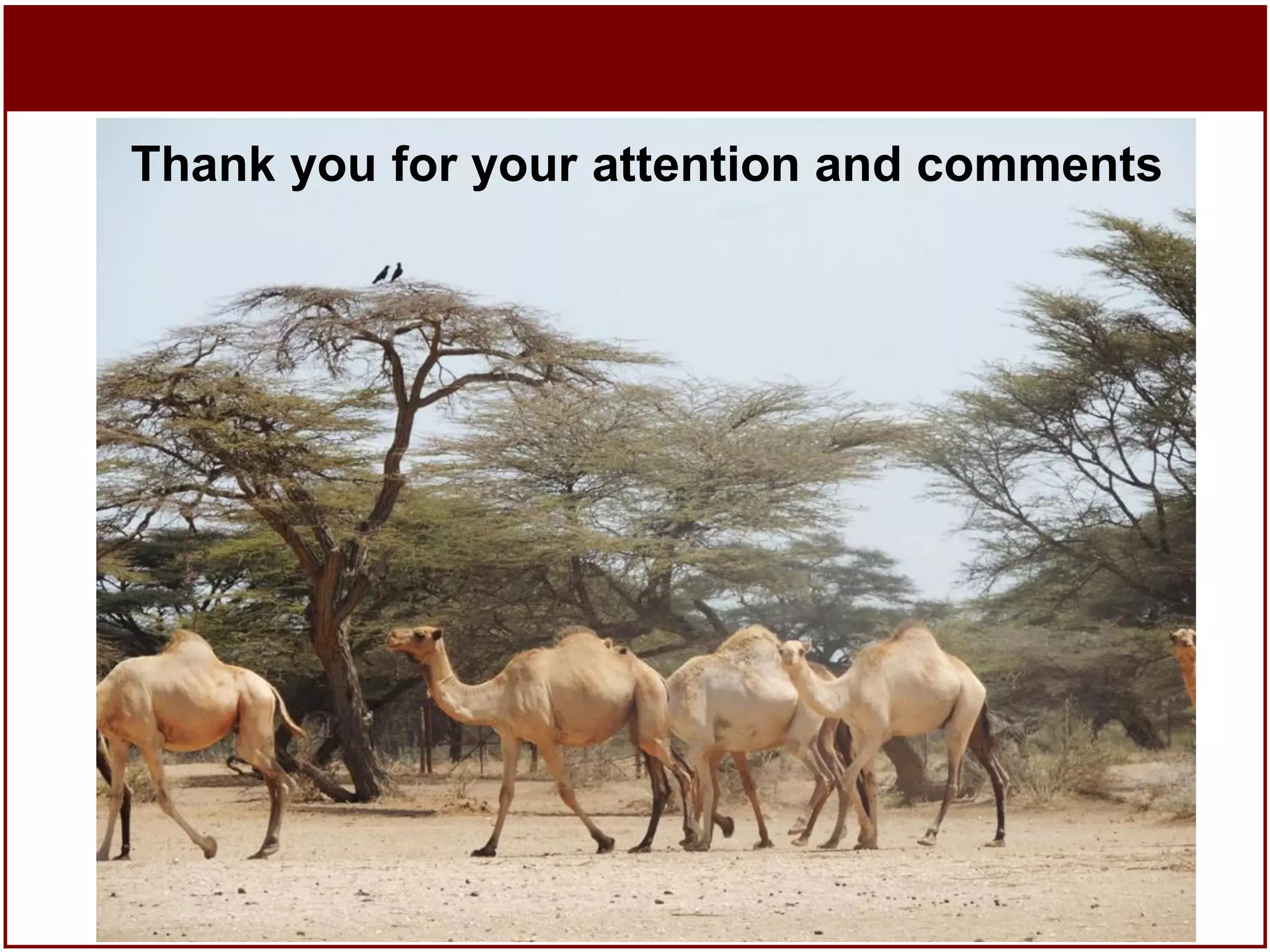 Thank you for your attention and comments

17

 