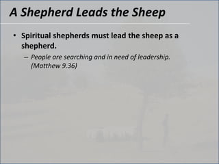 A Shepherd Leads the SheepSpiritual shepherds must lead the sheep as a shepherd.People are searching and in need of leadership. (Matthew 9.36) 