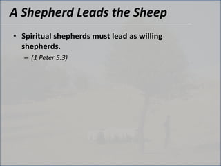 A Shepherd Leads the SheepSpiritual shepherds must lead as willing shepherds.(1 Peter 5.3) 