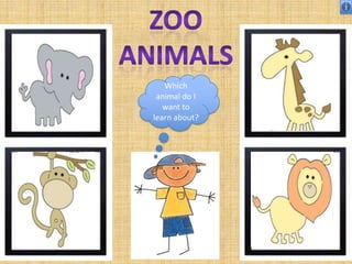 Which
 animal do I
   want to
learn about?
 