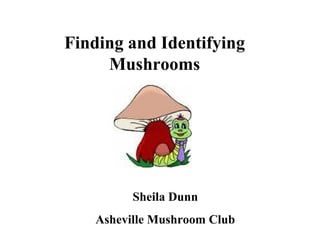Finding and Identifying
     Mushrooms




         Sheila Dunn
   Asheville Mushroom Club
 