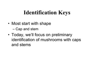 Identification Keys
• Most start with shape
  – Cap and stem
• Today, we’ll focus on preliminary
  identification of mushrooms with caps
  and stems
 