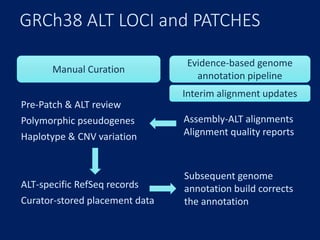 GRCh38 ALT LOCI and PATCHES
Pre-Patch & ALT review
Polymorphic pseudogenes
Haplotype & CNV variation
ALT-specific RefSeq records
Curator-stored placement data
Evidence-based genome
annotation pipeline
Manual Curation
Assembly-ALT alignments
Alignment quality reports
Subsequent genome
annotation build corrects
the annotation
Interim alignment updates
 