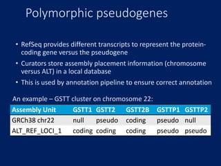 Polymorphic pseudogenes
• RefSeq provides different transcripts to represent the protein-
coding gene versus the pseudogene
• Curators store assembly placement information (chromosome
versus ALT) in a local database
• This is used by annotation pipeline to ensure correct annotation
Assembly Unit GSTT1 GSTT2 GSTT2B GSTTP1 GSTTP2
GRCh38 chr22 null pseudo coding pseudo null
ALT_REF_LOCI_1 coding coding coding pseudo pseudo
An example – GSTT cluster on chromosome 22:
 