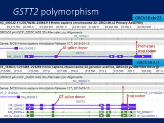 GSTT2 polymorphism
AT splice donor Premature
stop codon
GT splice donor Stop codon
GRCh38 chr22
GRCh38 ALT
 