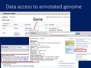 Data access to annotated genome
Gene
Assembly details
 