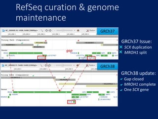 RefSeq curation & genome
maintenance




 





GRCh38
GRCh37
GRCh37 Issue:
SCX duplication
MROH1 split
GRCh38 update:
Gap closed
MROH1 complete
One SCX gene
gap
 