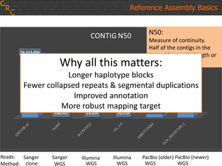 Reference Assembly Basics
Sanger Sanger Illumina Illumina PacBio (older)
clone WGS WGS WGS WGS
Reads:
Method:
PacBio (newer)
WGS
N50:
Measure of continuity.
Half of the contigs in the
assembly are this length or
greater.Why all this matters:
Longer haplotype blocks
Fewer collapsed repeats & segmental duplications
Improved annotation
More robust mapping target
 
