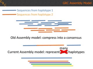 Sequences from haplotype 1
Sequences from haplotype 2
Old Assembly model: compress into a consensus
Current Assembly model: represent both haplotypes
GRC Assembly Model
many
 