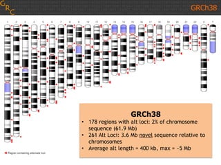 GRCh38
• 178 regions with alt loci: 2% of chromosome
sequence (61.9 Mb)
• 261 Alt Loci: 3.6 Mb novel sequence relative to
chromosomes
• Average alt length = 400 kb, max = ~5 Mb
GRCh38
 
