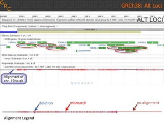 GRCh38: Alt Loci
Alignment Legend
no alignmentmismatchdeletion
 
