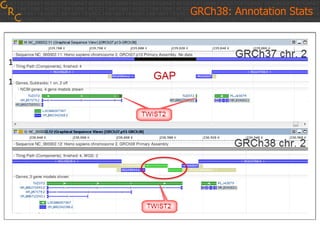 GRCh38: Annotation Stats
 