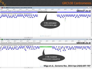 GRCh38 Centromeres
Miga et al., Genome Res. 2014 Apr;24(4):697-707
 