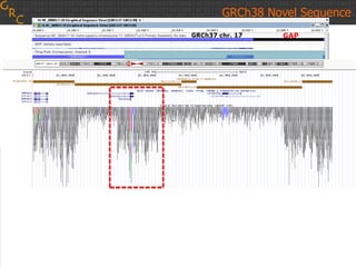 GRCh38 Novel Sequence
 