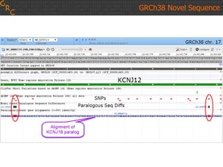 GRCh38 Novel Sequence
 
