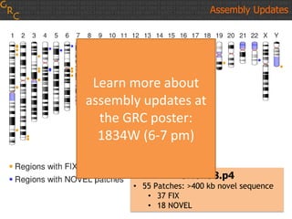 GRCh38.p4
• 55 Patches: >400 kb novel sequence
• 37 FIX
• 18 NOVEL
Assembly Updates
Learn more about
assembly updates at
the GRC poster:
1834W (6-7 pm)
 