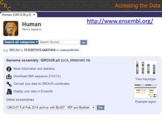 Accessing the Data
http://www.ensembl.org/
 
