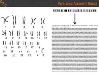 Reference Assembly Basics
 