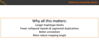 Why all this matters:
Longer haplotype blocks
Fewer collapsed repeats & segmental duplications
Better annotation
More robust mapping target
Reference Assembly Basics
 