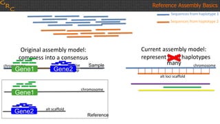Sequences from haplotype 1
Sequences from haplotype 2
Reference Assembly Basics
Original assembly model:
compress into a consensus
false
gap
chromosome
Current assembly model:
represent both haplotypes
alt loci scaffold
chromosomemany
Gene1 Gene2
Sample
Gene2
Gene1
chromosome
alt scaffold
Reference
 